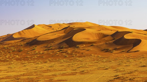 Wind-sculpted curved sand dunes in the Rub al Khali desert, Dhofar province, Arabian Peninsula,