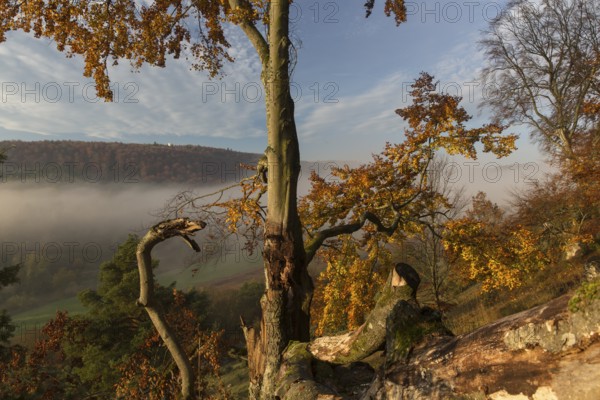 Sunrise close to the 12 Apostels rock formation in the Altmühl valley nature park close to