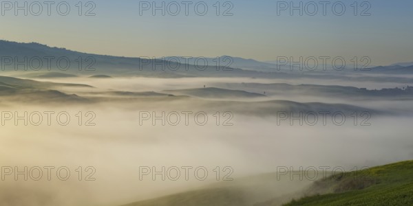 Landscape at sunrise around Volterra, Province of Pisa, Tuscany, Italy, Europe