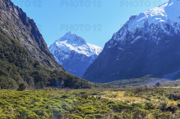 Milford Sound, Fiordland National Park, South Island, New Zealand, Oceania