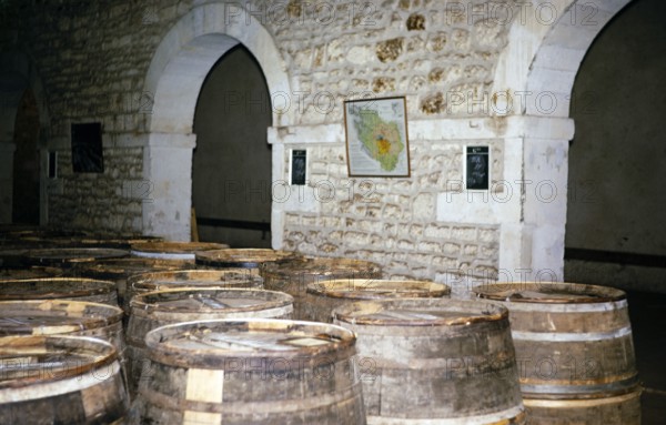 Hennessy Cognac Brandy production, Cognac, France 1973