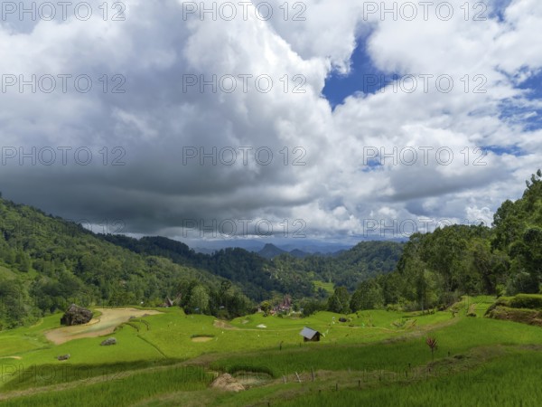 Rice fields, rice terraces, landscape near Limbong, Tana Toraja, Sulawesi, Indonesia, Asia