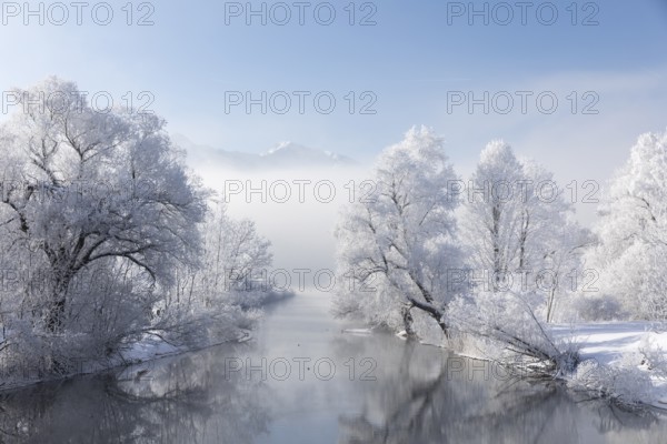 Lake Kochelsee in Bavaria, Germany. River Loisach leaving the lake. Winter, hoar frosted trees