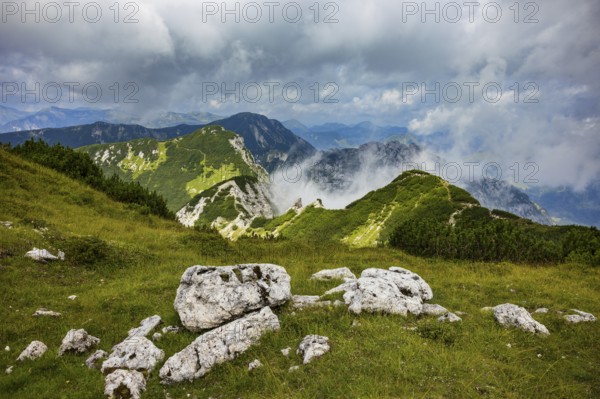 Hiking trail to the Gamsfeld with a view of the Osterhorn group, Russbach, Salzkammergut, Salzburg