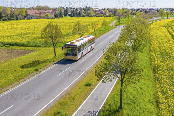 Aerial view of a bus on a country road between blossoming rape fields, Verkehrsgesellschaft Meißen