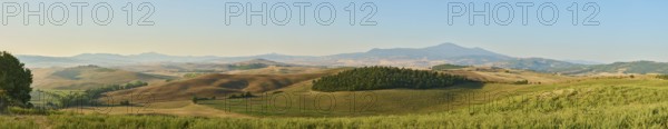 Typical Tuscan landscape in Val d'Orcia with hills, trees, fields, cypresses and farm road in