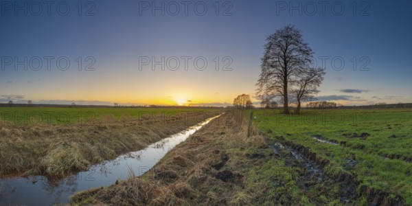 View along a ditch to two trees in the sunset, panorama, landscape photo, nature photo, flora,