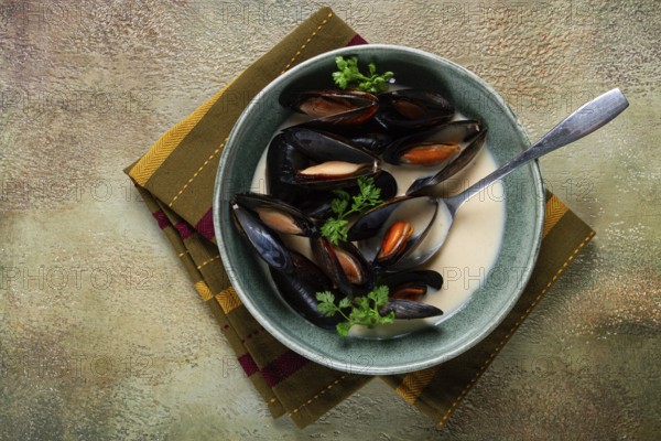Mussels in shells, in creamy garlic sauce, mussels in bechamel sauce, homemade, no people