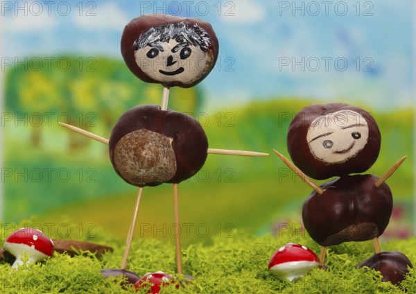 Two chestnut figures on Iceland moss in the studio, North Rhine-Westphalia, Germany, Europe