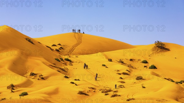 Hiking group in the sand dunes of the Rub al Khali desert, Dhofar province, Arabian Peninsula,