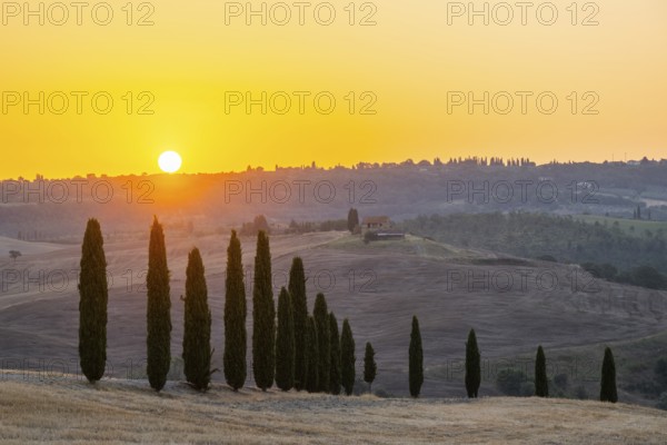 Typical Tuscan landscape in Val d'Orcia with hills, trees, fields, farmhouses and cypresses at