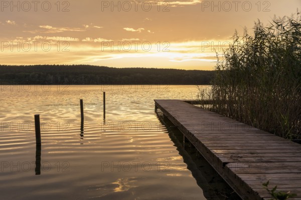 Sunset at the bathing jetty of the Großer Glubigsee near Wendisch Rietz, Oder-Spree district,