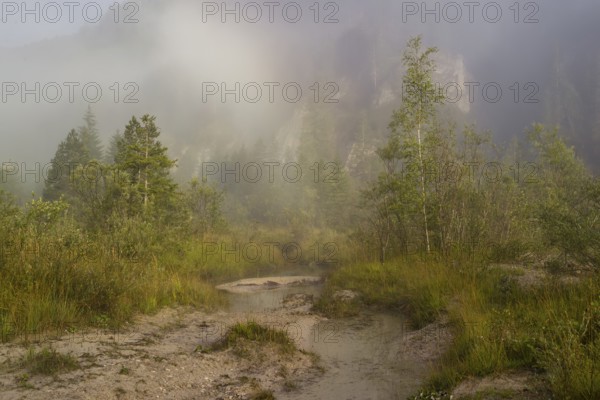 Isar valley nature conservancy area. The wild Isar river flows through its gravel bed past
