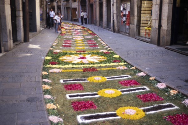 Mat of flowers on the street to celebrate Corpus Christi, Girona, Catalonia, Spain, Europe