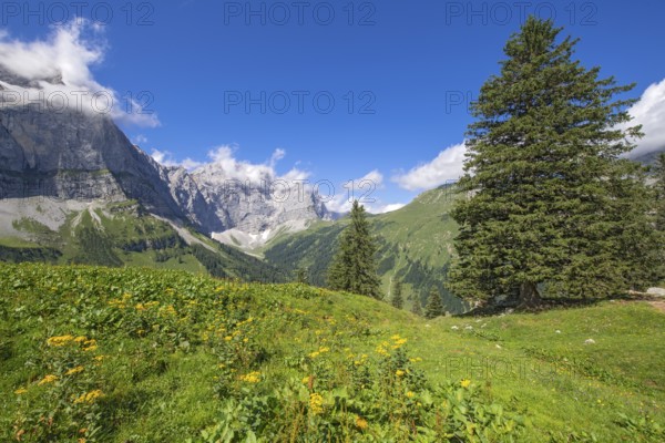 Spritzkarspitze and Grubenkarspitze, seen from Drijaggenalm, Karwendel Mountains, Tyrol, Austria,