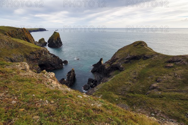 Rocky coast at Kynance Cove, cliffs, Mount's Bay, Lizard Peninsula, Cornwall, England, Great