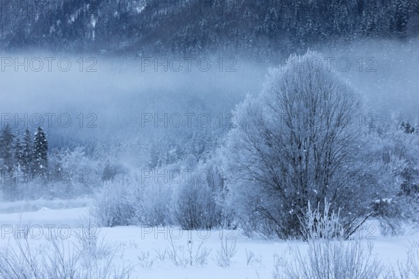 Isar valley in winter at temperatures of minus 18 degrees Celsius. Snow covered landscape with the
