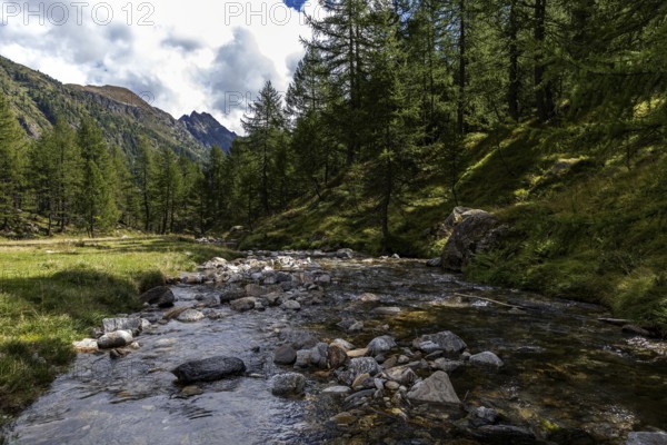 River Maggia, upper course, Sambuco valley, Vale Sambuco, near Fusio, Lavizzara, behind Ticino