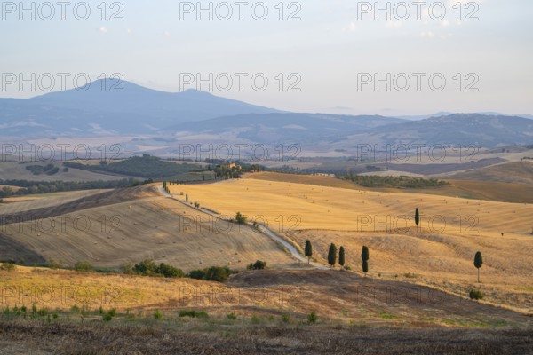 Typical Tuscan landscape in Val d'Orcia with hills, trees, fields, cypresses and farm road in