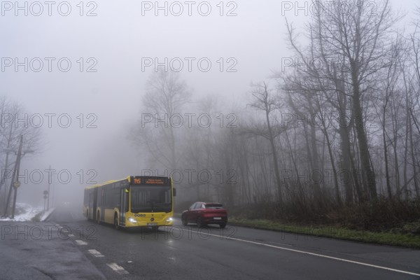 Dense fog, with visibility sometimes less than 100 metres, country road, Heisinger Straße, in