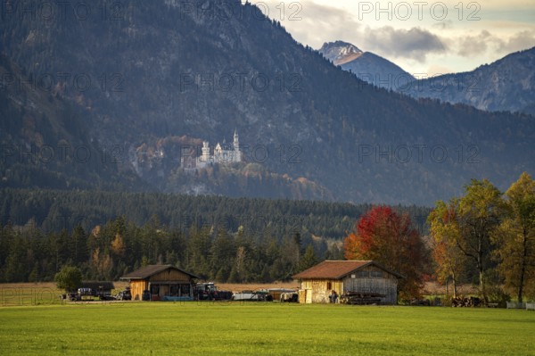 Farm and Neuschwanstein Castle in Schwangau, Allgäu, Bavaria, Germany, Europe
