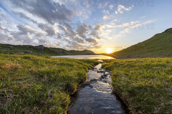 Small stream flowing through a meadow at sunrise in the mountains, Tyrol, Austria, Europe