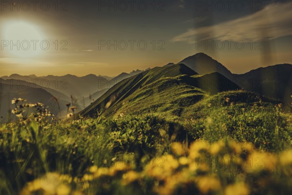 Hiking tour on the Hönig mountain in the Lechtal valley near Berwang in Tyrol, Austria, Europe