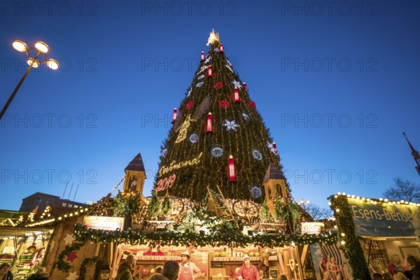 The largest Christmas tree at the Dortmund Christmas market at dusk, Dortmund, North