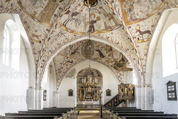 Interior with religious frescoes by the Elmelunde Master in the church of Elmelunde, Mön Island,