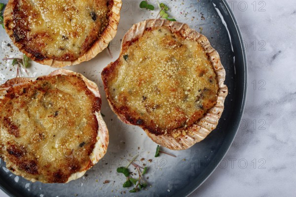 Scallop shells, stuffed, baked with cheese, in the oven, julienne with scallops