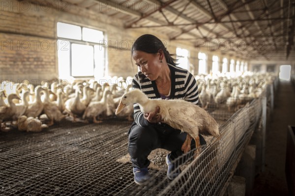Labourer Ma Jian Hui, the workers live in the respective buildings where the ducks are kept, a