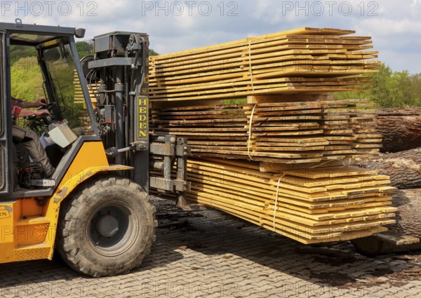 Solingen, North Rhine-Westphalia, Germany - Spruce logs are processed into construction timber,