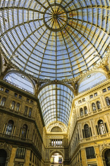 Galleria Umberto I, Naples, Campania, Italy, Europe