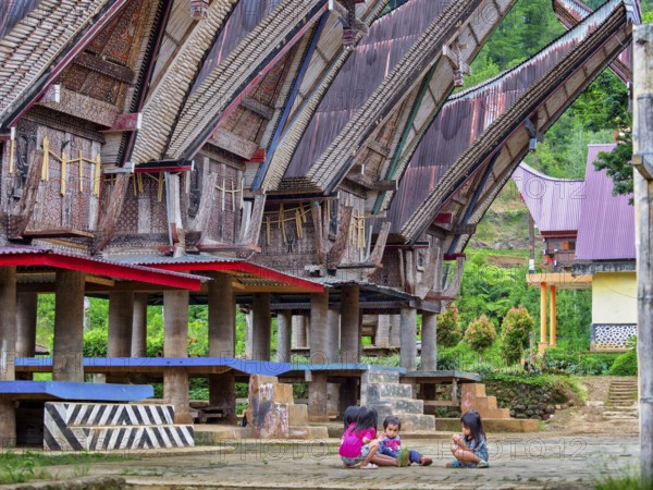 Traditional Toraja houses, children playing, Limbong village, Tana Toraja, Sulawesi, Indonesia,
