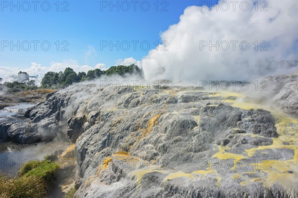 Prince of Wales and Pohutu geysers erupting, Te Puia Thermal Valley, Rotorua, Bay of Plenty, North
