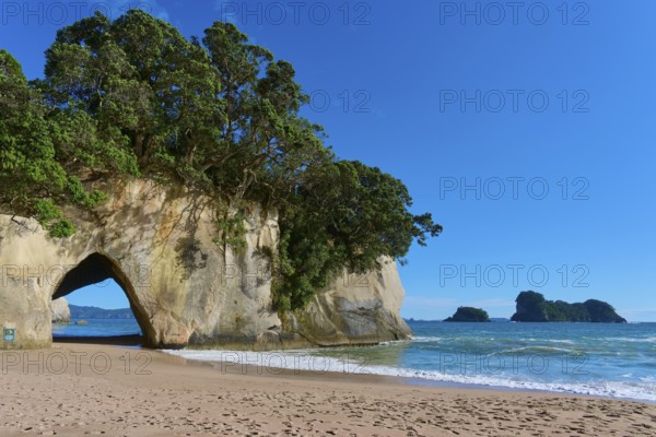 Coastline with a natural rock arch on the beach, surrounded by trees and sea, Cathedral Cove,