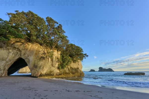 Rock with cave on the beach, sea and trees in the background, in calm weather, Cathedral Cove,