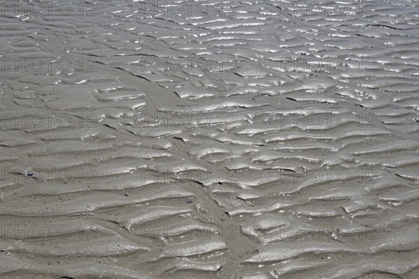 Beach at low tide with wave-like structure, current ripples in wet sand, North Sea, Norderney, East