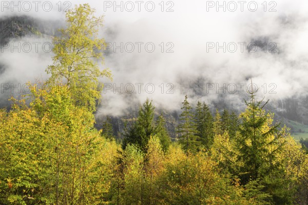 Autumn scene, landscape covered in the clouds, Malta valley, Carinthia, Austria, Europe