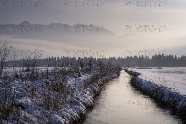 Murnauer moss in winter, near Murnau, Upper Bavaria, Bavaria, Germany, Europe