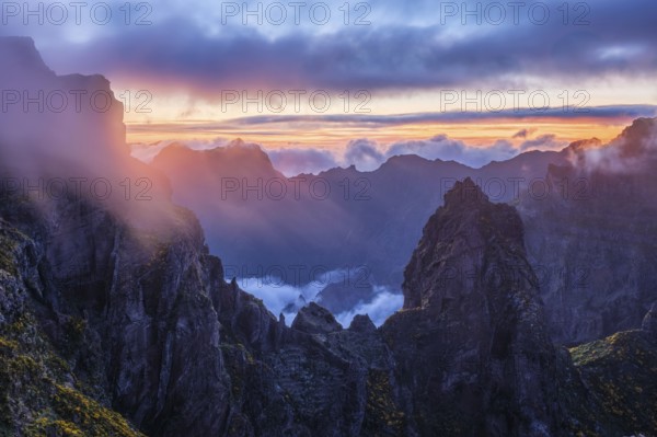 Mountains on sunset covered in fog and clouds with blooming Cytisus shrubs. Near Pico de Arieiro,