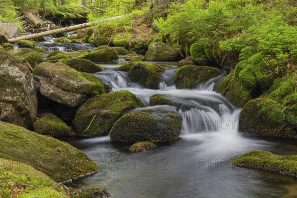 Kleine Ohe creek below Waldhaeuser village in the Bavarian Forest Nationalpark. Flowing water,