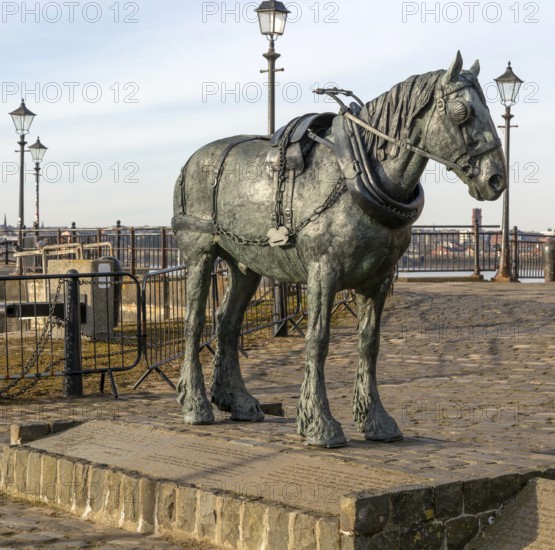 Sculpture 'Waiting' by Judy Boyt celebrating the working horses of the docks, Pier Head, Liverpool,