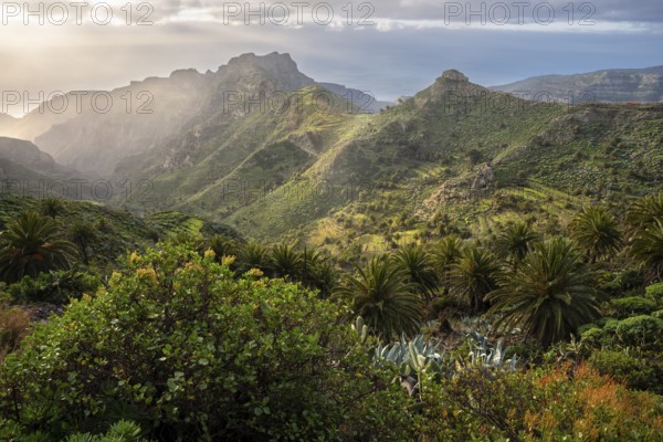 View of the Barranco Juan de Vera in the morning. Mountains, palm trees, rocks and sea. Near