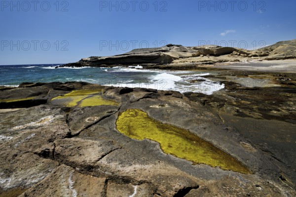 Sandstone coast, San Miguel de Tajao, Tenerife, Canary Islands, Spain, Europe