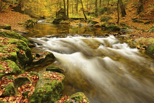 Autumn on the Schwarza river in the Schwarzatal valley between Bad Blankenburg and Schwarzburg,