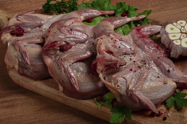 Raw quail meat, on a cutting board, with spices and herbs, top view