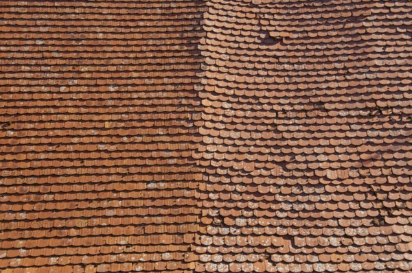 Plain tile roof panels, Germany, Europe