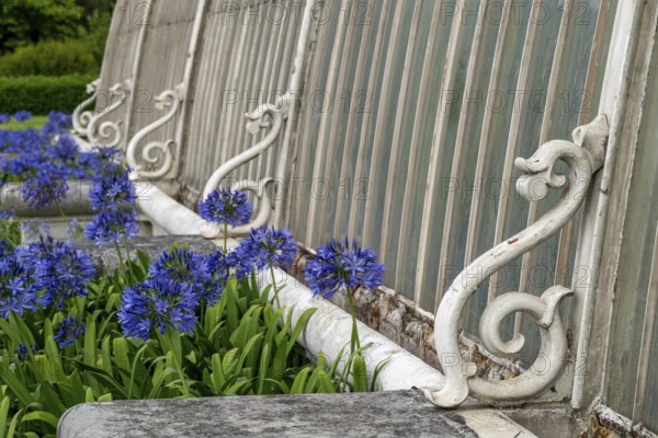 Detail of a greenhouse, Palm House, oldest Victorian greenhouse in the world, Royal Botanic