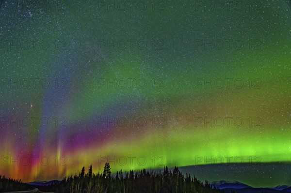 Aurora Borealis, Northern Lights, extreme starry sky, intense colouring, Yukon Territory, Canada,